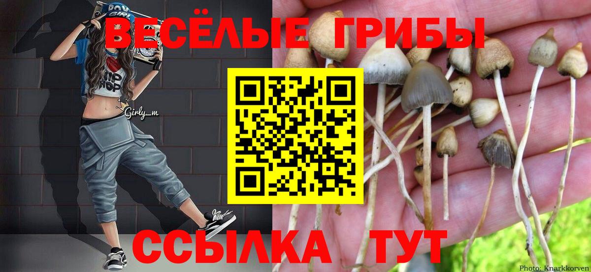 Псилоцибиновые грибы Magic Shrooms  Псилоцибиновые грибы GOLDEN TEACHER  Вход с VPN  Светлоград 